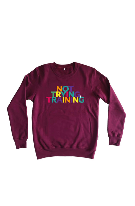 Not Trying, Training | Sweater