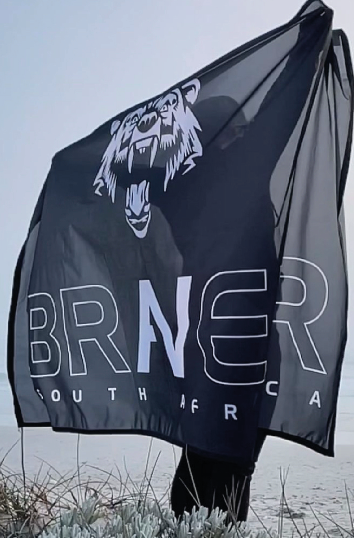 Braver SA Flag